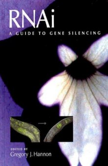 Rnai: A Guide to Gene Silencing (Manual)