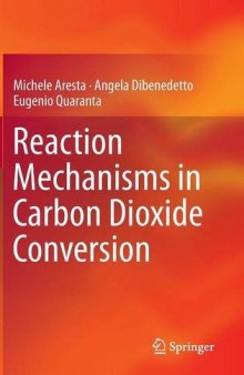 Reaction Mechanisms in Carbon Dioxide Conversion