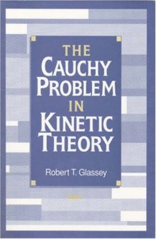 The Cauchy problem in kinetic theory