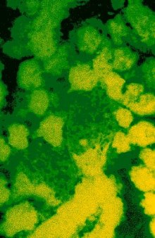 Membrane Protein Protocols