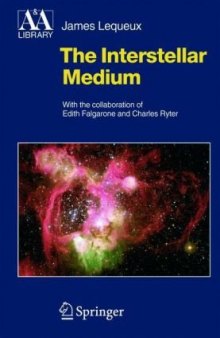 The interstellar medium