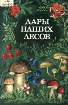 Дары наших лесов