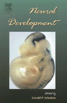 Neural Development