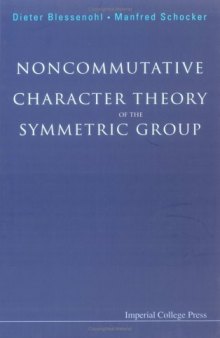 Noncommutative character theory of the symmetric group