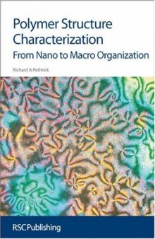 Polymer Structure Characterisation: From Nano to Macro: Morphological its molecular origins (Issues in Environmental Scienc)