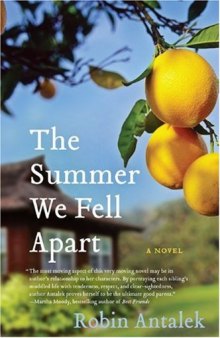 The Summer We Fell Apart