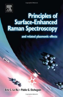 Principles of Surface-Enhanced Raman Spectroscopy and related plasmonic effects