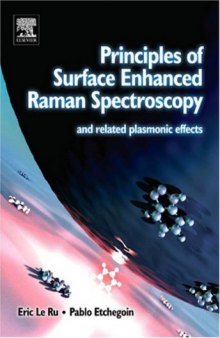 Principles of Surface-Enhanced Raman Spectroscopy: and related plasmonic effects