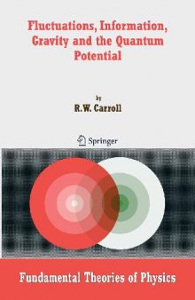 Fluctuations, Information, Gravity and the Quantum Potential by R. W. Carroll