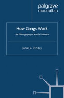 How Gangs Work: An Ethnography of Youth Violence