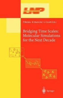 Bridging Time Scales: Molecular Simulations for the Next Decade