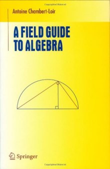 A field guide to algebra