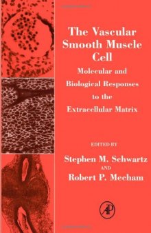 The Vascular Smooth Muscle Cell: Molecular and Biological Responses to the Extracellular Matrix (Biology of Extracellular Matrix)