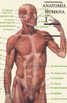 Anatomía Humana