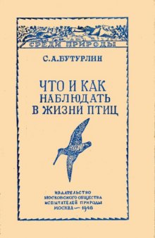 Что и как наблюдать в жизни птиц