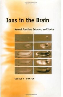 Ions in the Brain: Normal Function, Seizures, and Stroke