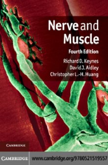 Nerve and muscle