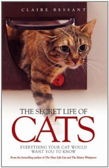 The Secret Life of Cats: Everything Your Cat Would Want You to Know  
