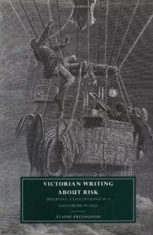 Victorian Writing about Risk: Imagining a Safe England in a Dangerous World (Cambridge Studies in Nineteenth-Century Literature and Culture)