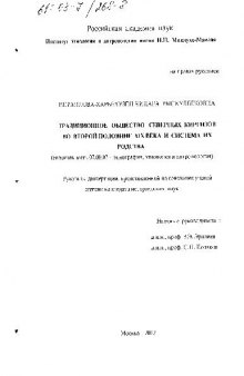 Традиционное общество северных киргизов во второй половине XIX века и система их родства(Диссертация)