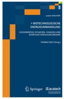 Biotechnologische Energieumwandlung: Gegenwartige Situation, Chancen und Kunftiger Forschungsbedarf