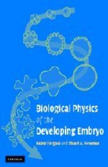 Biological physics of the developing embryo