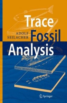 Trace fossil analysis