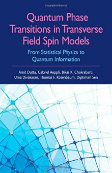 Quantum Phase Transitions in Transverse Field Spin Models: From Statistical Physics to Quantum Information