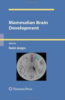 Mammalian Brain Development