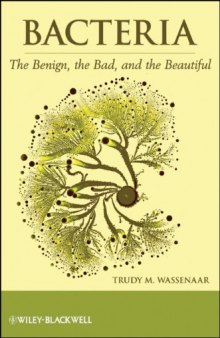 Bacteria: The Benign, the Bad, and the Beautiful  