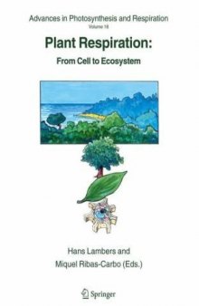Plant Respiration: From Cell to Ecosystem