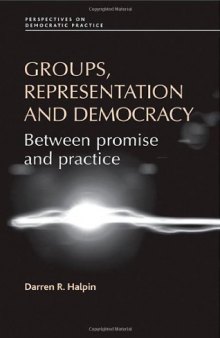 Groups, Representation and Democracy: Between Promise and Practice