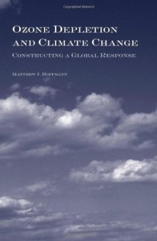 Ozone Depletion And Climate Change: Constructing A Global Response