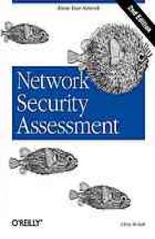 Network security assessment