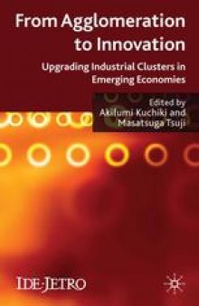 From Agglomeration to Innovation: Upgrading Industrial Clusters in Emerging Economies