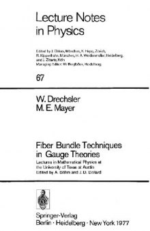 Fiber bundle techniques in gauge theories