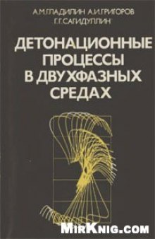 Детонационные процессы в двухфазных средах