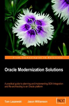 Oracle 11g Streams Implementers Guide