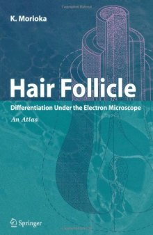 Hair Follicle: Differentiation under the Electron Microscope - An Atlas