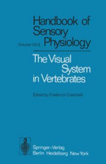 The Visual System in Vertebrates