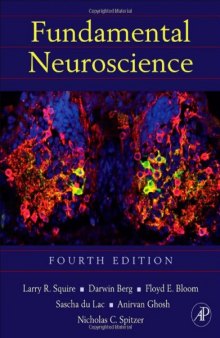 Fundamental Neuroscience, Fourth Edition
