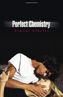 Perfect Chemistry Book 1