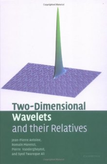 Two-Dimensional Wavelets and their Relatives