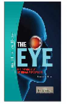 The Eye. The Physiology of Human Perception
