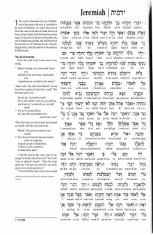 ESV Interlinear Hebrew - English Old Testament (Bible) - 4 of 4