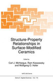 Structure-Property Relationships in Surface-Modified Ceramics