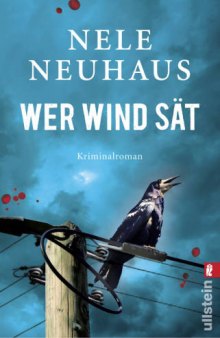 Wer Wind sät (Kriminalroman)
