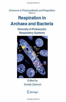 Respiration in Archaea and Bacteria: Diversity of Prokaryotic Respiratory Systems