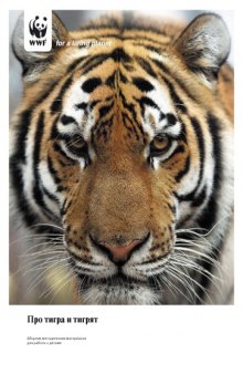 Про тигра и тигрят: Сборник методических материалов для работы с детьми