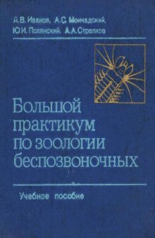 Большой практикум по зоологии безпозвоночных